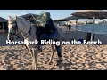 Horseback Riding on Hurghada&#39;s Beach - Egypt Series