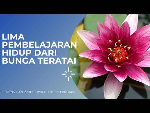 Video: Bunga teratai adalah simbol ketuhanan kesucian dan kehidupan
