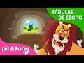 El Viejo León y la Zorra | Fábulas de Esopo | Pinkfong Cuentos Infantiles