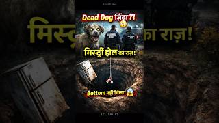 Dead Dog वपस जद? इस गडढ क रज कय ह