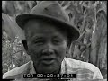 REPORTAGE HISTORIQUE MALOYA LONTAN