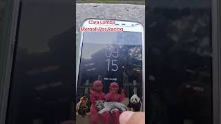 Begini Cara Lomba Merpati Pos Racing dengan aplikasi RPL screenshot 1