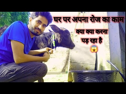 वीडियो: घर पर क्या करना है?