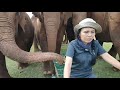 We are taking elephant to go shelters.- EleFlix