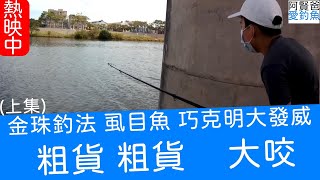 【阿賢爸】愛釣魚Ep.17 金珠釣法虱目魚父子聯手大咬(上集) (珠 ... 