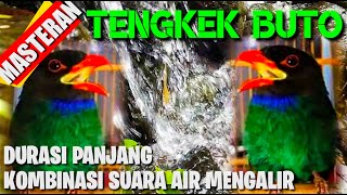 MASTERAN TENGKEK BUTO NGEROLL,KOMBINASI SUARA AIR MENGALIR..UNTUK TERAPI SUASANA TENANG PADA BURUNG