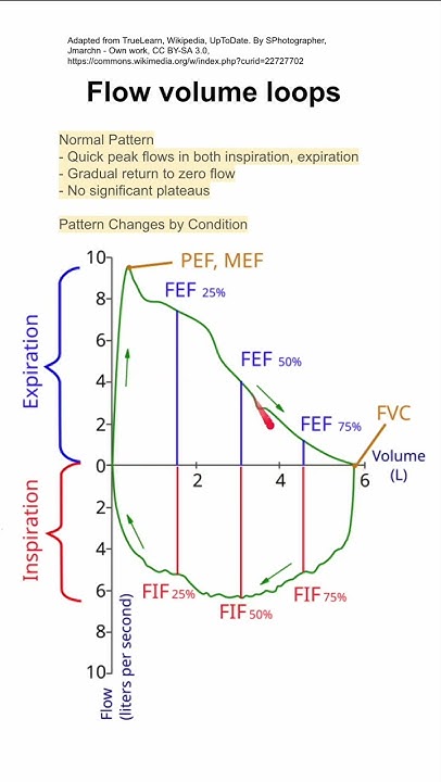 Flow volume loops - YouTube