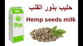 Cannabis Hemp seeds milk حليب بذور القنب
