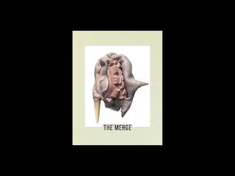 Matriarchy Roots — Matriarchy Roots | Free Love [Strange Therapy 2023]