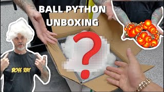 Ball Python Unboxing! Literally On Cloud Nine! Profile