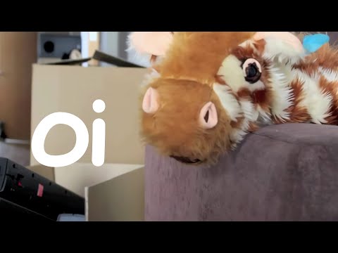 Mr.T Does Phonics with Geraldine the Giraffe - The 'oi' Digraph