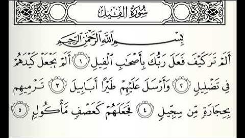 تلاوات مختارة سورة الفيل القارئ فيصل سعود الحليبي