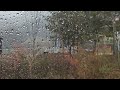Rain on the Car Roof — A Moment of Pure Calm차 위로 떨어지는 빗소리 — 순수한 고요의 순간Korean#RainSounds #HealingRain
