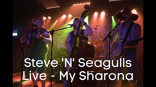 Steve 'N' Seagulls live - My Sharona
