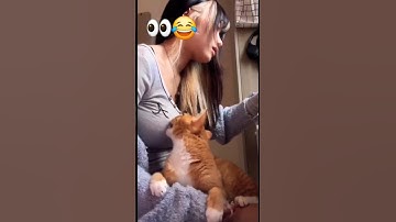 Funniest Cats love boobs 👀😂 #subscribe #funny #shorts #viralvideo #cat #nepal #shortvideo #fyp #pets