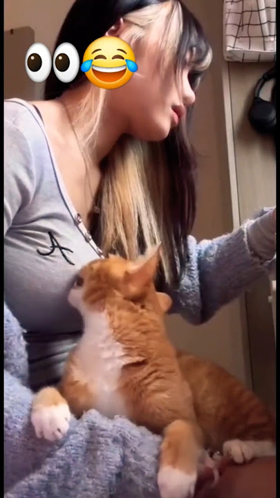 Funniest Cats love boobs 👀😂 #subscribe #funny #shorts #viralvideo #cat #nepal #shortvideo #fyp #pets
