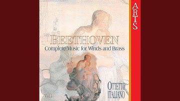 Duo For Clarinet And Bassoon Nr. 1 In C Major, WoO 27: I. Allegro Comodo