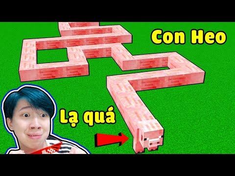 Con Heo Này Bị Gì Vậy Trời ?? VINH TỨC GIẬN KHI LÀM ĐIỀU NÀY TRONG MINECRAFT* Thử Thách Khó Vãi