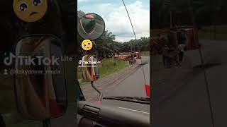 Download Lagu bukit kodok berduka  🥺🥺🥺 tetap sabar ya buat drever nya. MP3