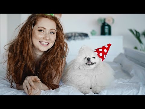 Wideo: Czy świąteczne Zwierzaki To Dobry Pomysł?