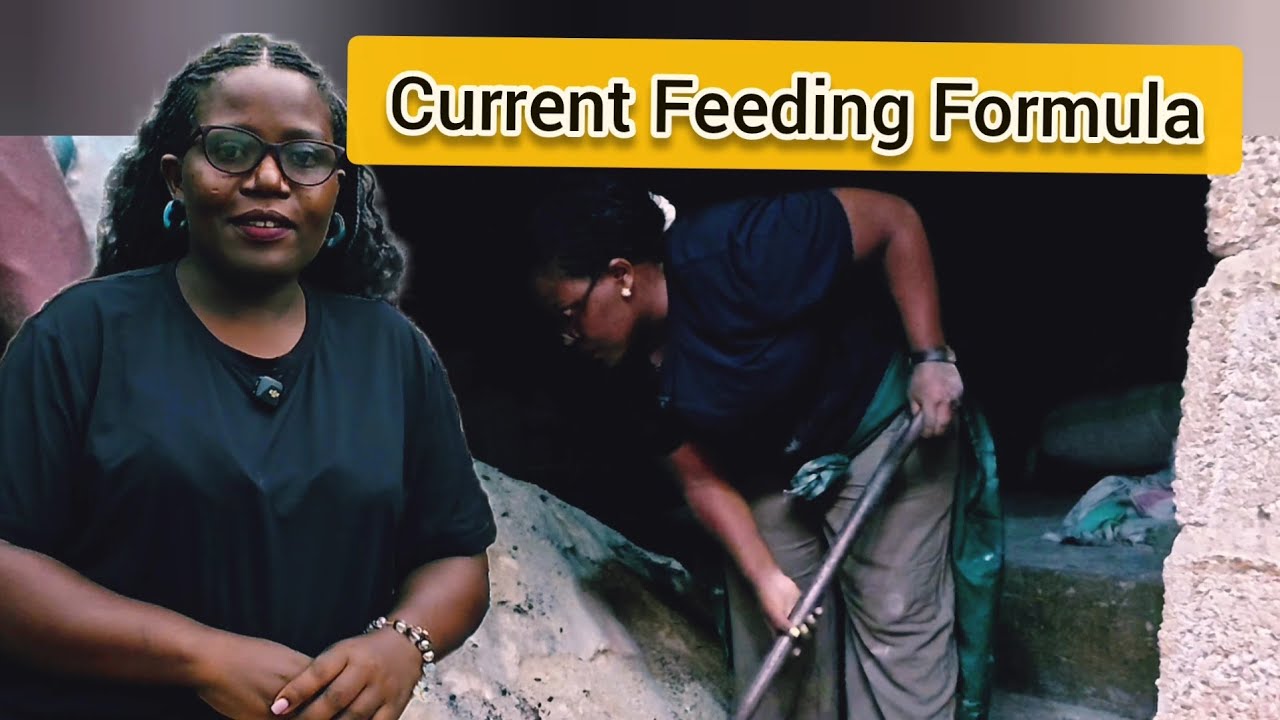 Как я составляю корма для своей фермы! Экономично и обеспечивает высокую производительность!!!