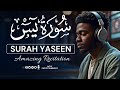 سورة يس | Surah Yasin – Relaxing Lofi Quran Recitation for Sleep &amp; Peace