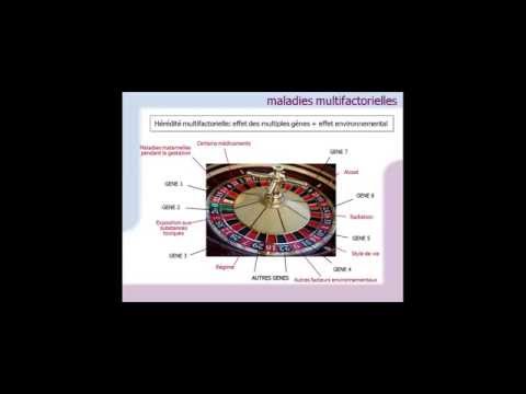 Video: Hypertriglyceridemie: Een Te Lange, Ten Onrechte Verwaarloosde Belangrijke Cardiovasculaire Risicofactor