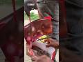 Stealing From The Security Man Funny Trending Comedy Comedyfilms Egypt Stealing From The Security Man Funny Trending Comedy Comedyfilms Egypt