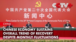 Chinese Economy Sustains Overall Trend of Recovery Despite Monthly Fluctuations