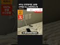써지오 안전멀티탭 고용량 3구배선 5m+안전커버 2개