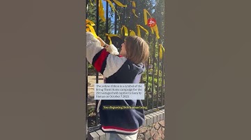 Woman filmed cutting down yellow ribbons for Israeli hostages from north London fence