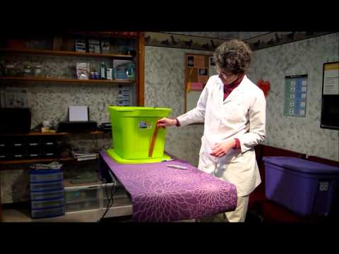 How to make the best litter box using a storage bin