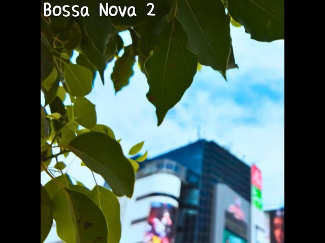 J-Bossa Nova】Japanese Neo CITY POP Collection Tokyo Hz Vol.11