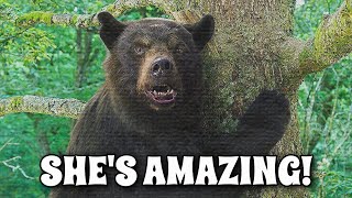 Why COCAINE BEAR is an AMAZING Villain! (Cocaine Bear)
