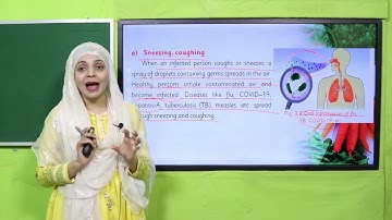 Science Grade 4 Chapter 3 lecture 2 || SNC 2020 ||