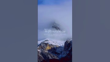 قرآن كريم تلاوة هادئة ارح سمعك #قرآن #quran #المصحف #اسلاميات #الرحمن #دويتو #duet #اكسبلور #المصحف