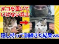 【2ch動物スレ総集編】甘えるヌコを置いていけない兵士→隠し持って訓練に連れていくwwwww