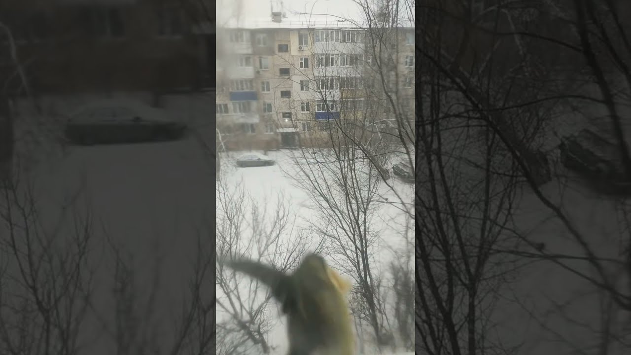 #уральскновости