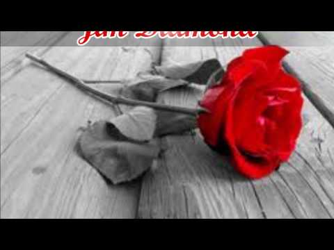 Jim Diamond-Remember I Love You(Tradução)