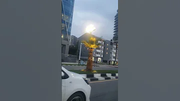 Waraanni Bilisummaa Oromoo Fi Fannoo Walii Galtee Akka Hin Qabne Himan 