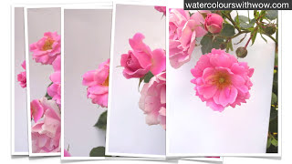 How and why to use photos to paint from