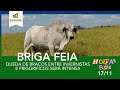HORA DO BOI 17/11- QUEDA DE BRAÇOS ENTRE INVERNISTAS E FRIGORIFICOS SERÁ INTENSA