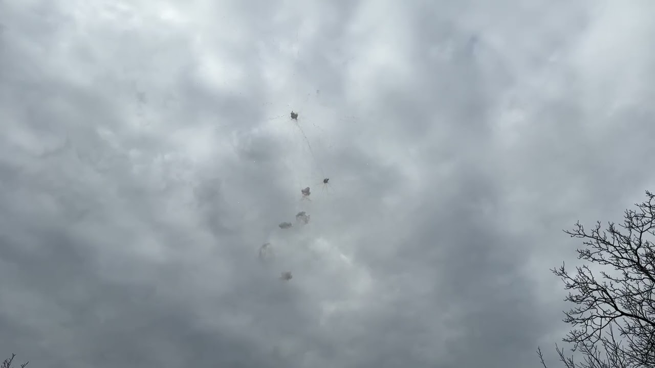 Cicciano 2026 - spettacolo pirotecnico diurno eseguito dalla ditta F.lli Romano