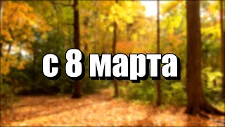 с 8 марта ➲ не мемы