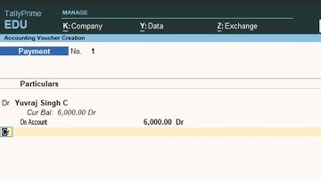 Change dr into cr and cr into dr in Tally Prime@COMPUTEREXCELSOLUTION