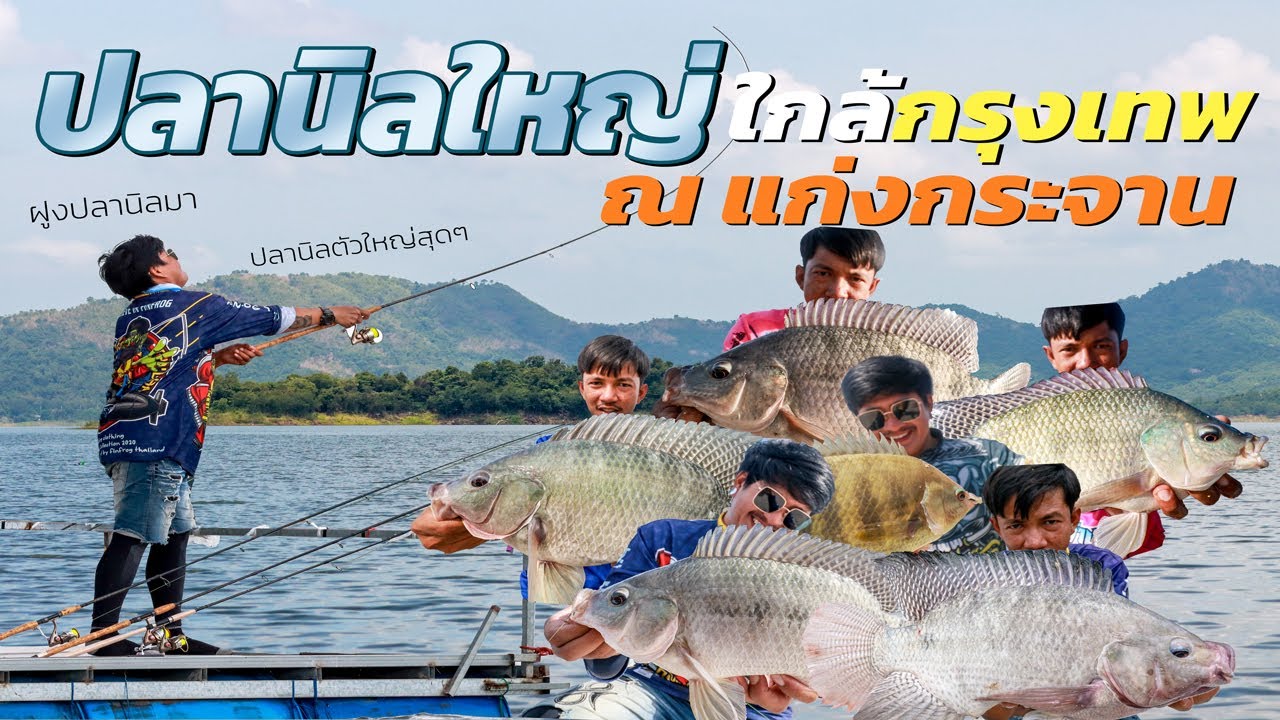 ปลานิลใหญ่ ใกล้กรุงเทพ แก่งกระจาน