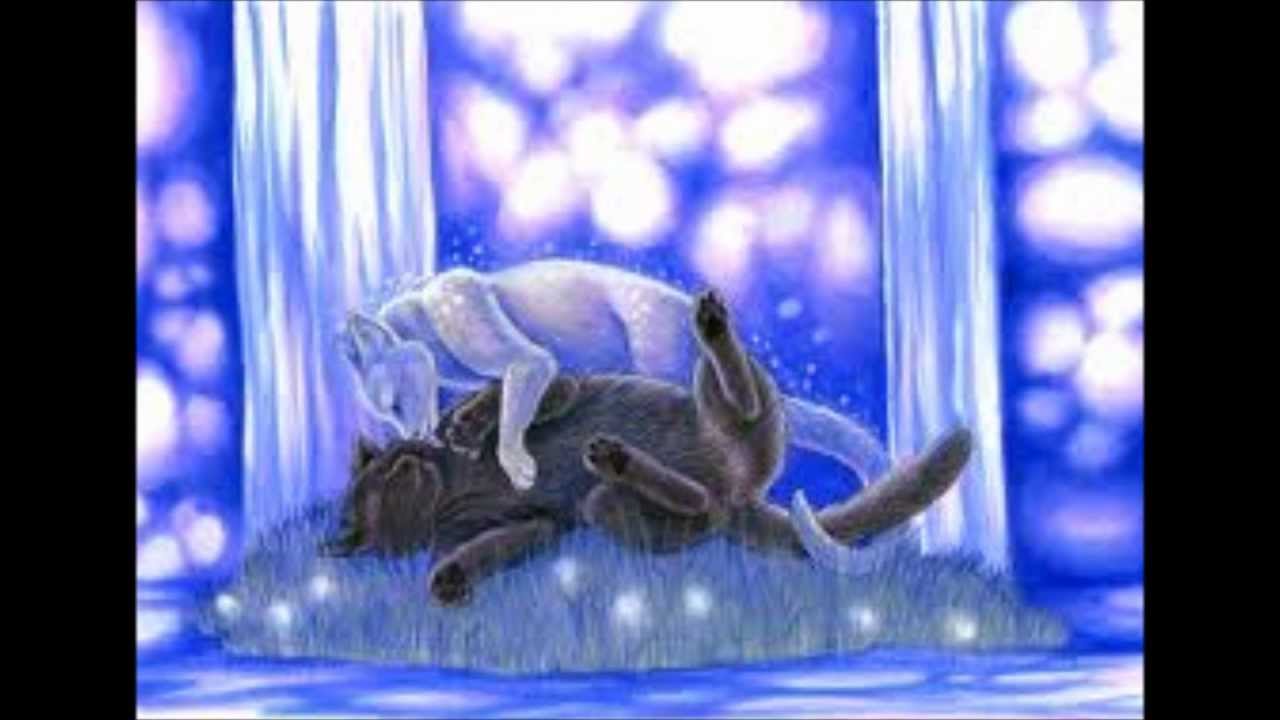 warrior cats Glad you came pmv / amv