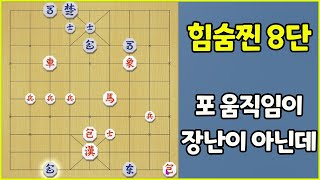 힘을 숨긴 8단!! 포 움직임이 장난이 아니네~ (슈이비닝 장기)