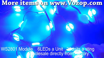 Smart WS2801 IC Modules 6LEDs a Unit programmable Digital LED Modules.mp4