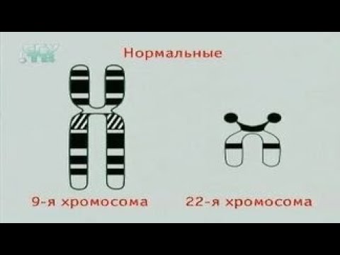 Общая биология. Хромосомные мутации